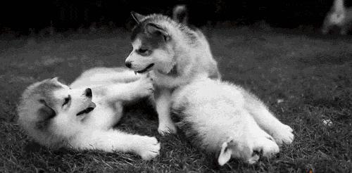 家装设计费用一般在总造价的多少-现在有两个工作可以选择,分别是造价和家装设计师,选哪个好? 家装设计费用一般在总造价的多少-现在有两个工作可以选择,分别是造价和家装设计师,选哪个好?