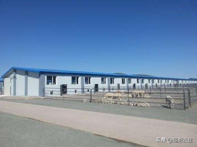 装修吊顶用什么材料最便宜-农村瓦房吊顶装修用什么材料比较好？