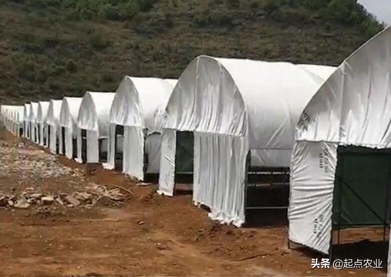 装修吊顶用什么材料最便宜-农村瓦房吊顶装修用什么材料比较好？