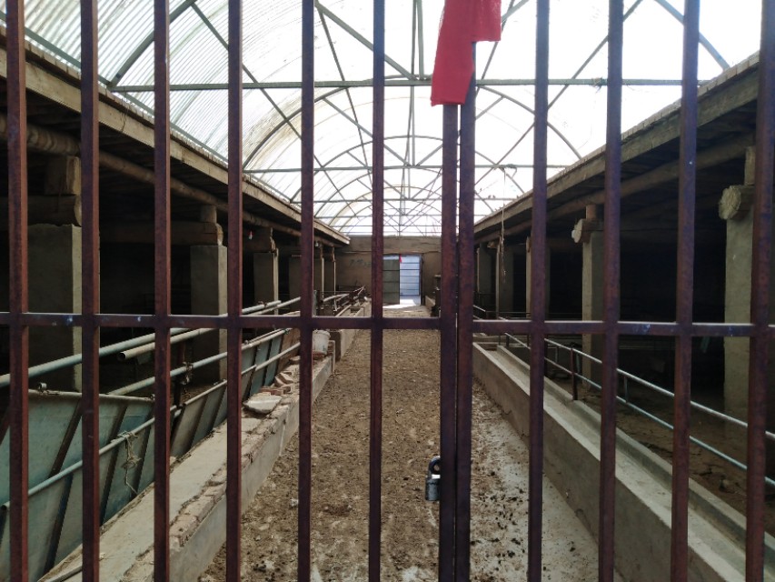 装修吊顶用什么材料最便宜-农村瓦房吊顶装修用什么材料比较好？